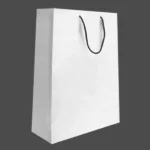 sac pap3
