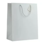 sac pap4